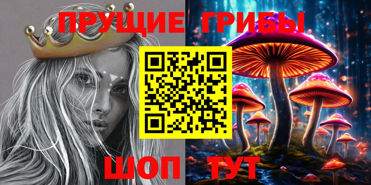 что такое   Вход с VPN  Советская Гавань  Галлюциногенные грибы Magic Shrooms  Псилоцибиновые грибы прущие грибы 