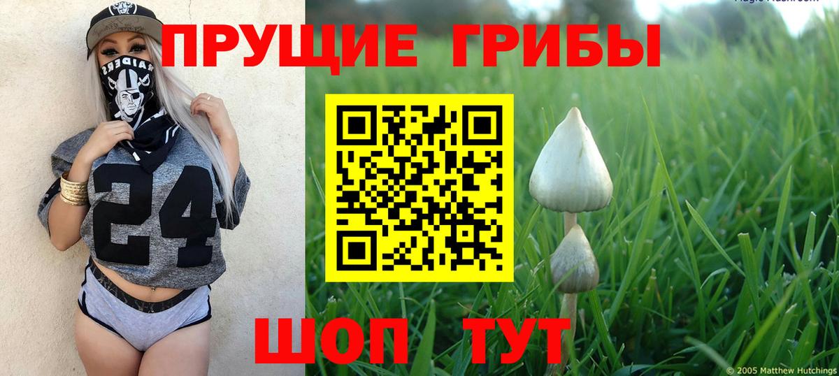 Галлюциногенные грибы Cubensis Советская Гавань